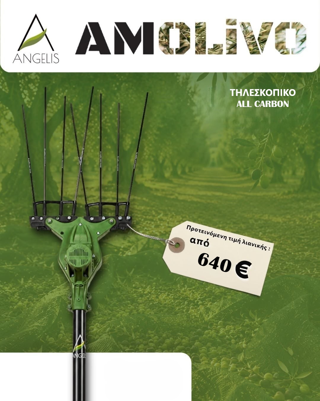 Ελαιοραβδιστικό Amolivo Telescopic all carbon